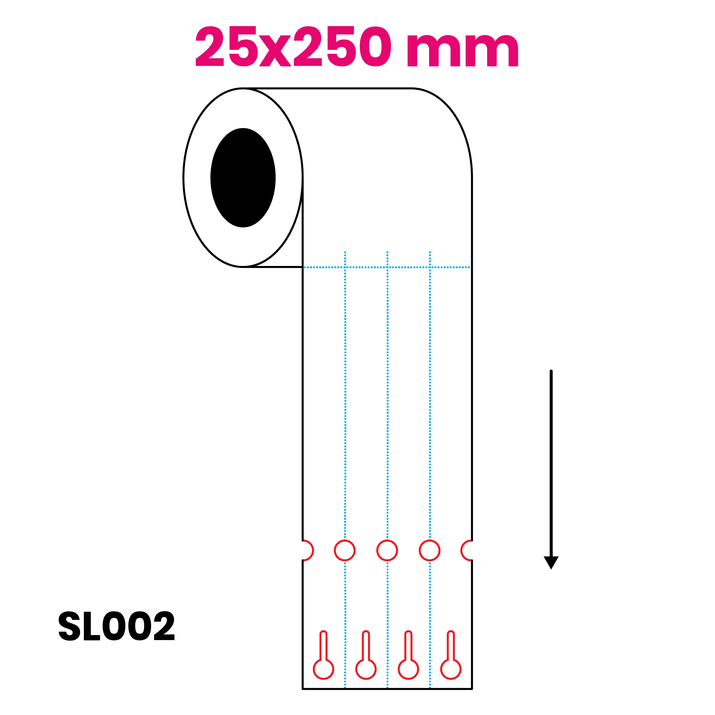 25X250