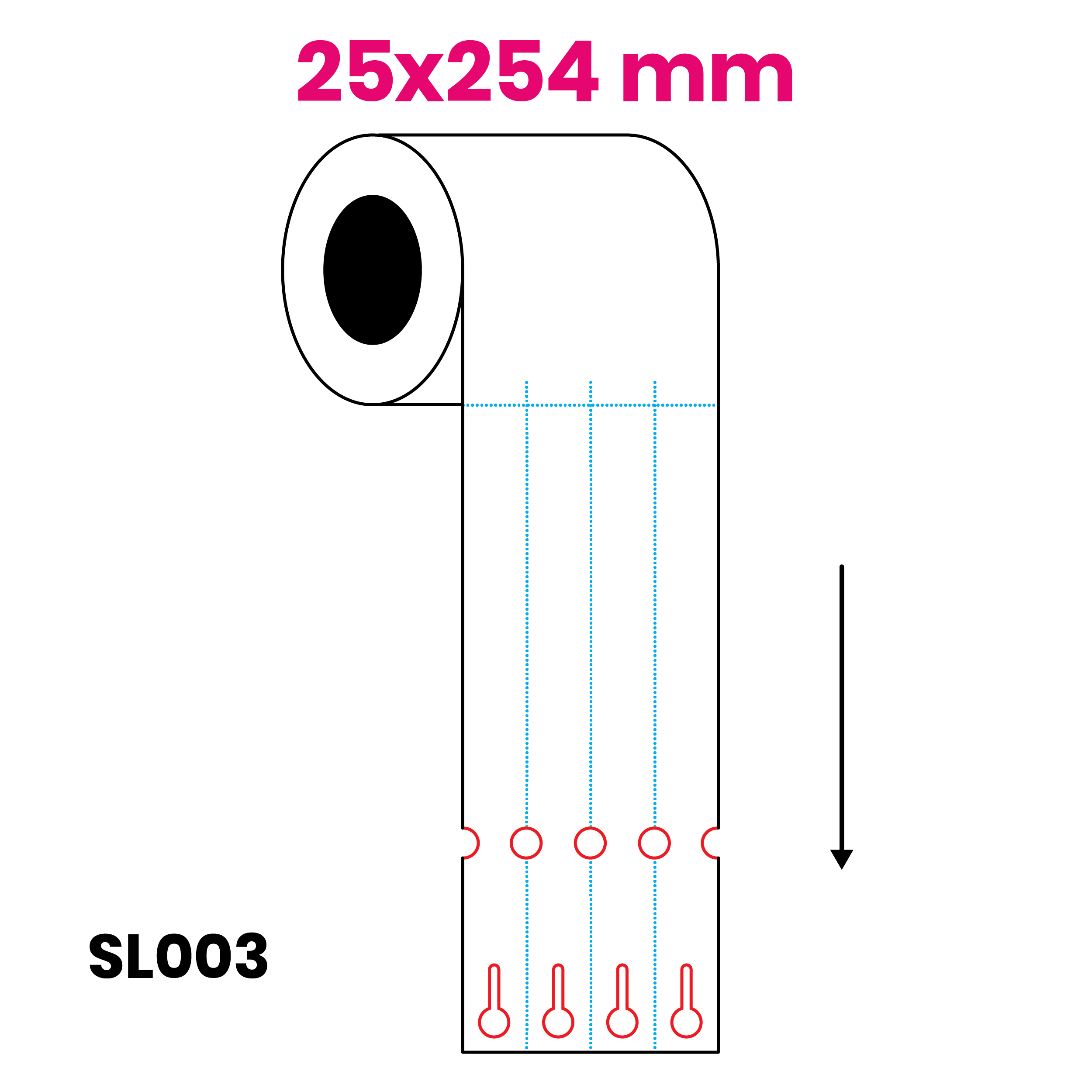25 x 254 mm 4r